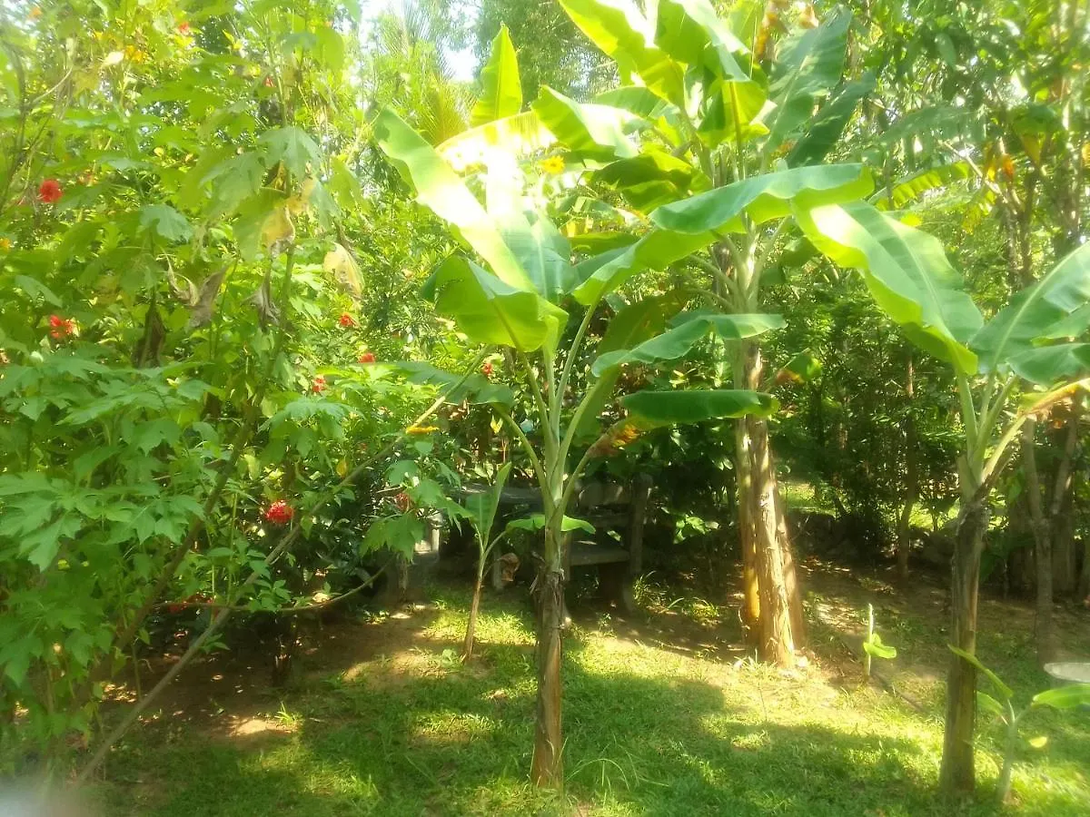 Hostel Sigiriya Village Home Stay & Private Room Sri Lanka