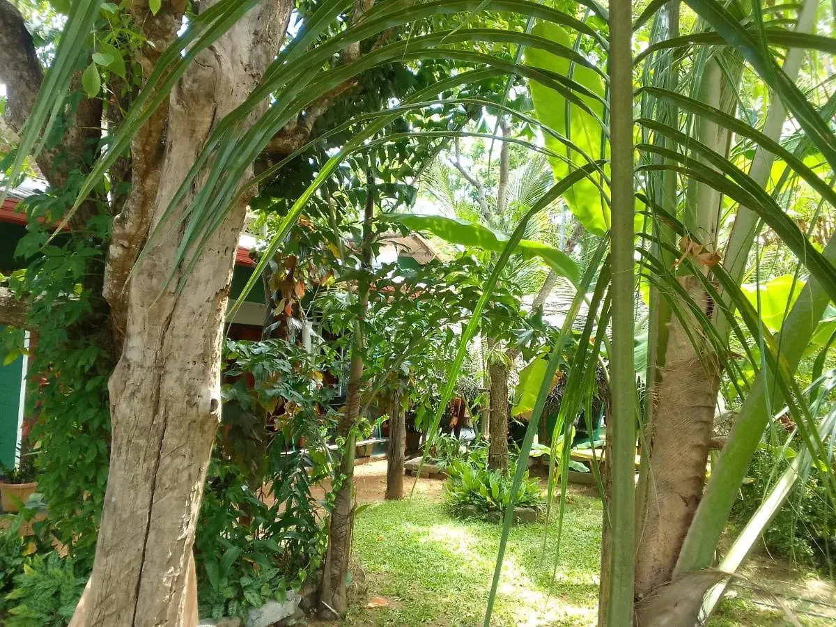 Sigiriya Village Home Stay & Private Room Hostel